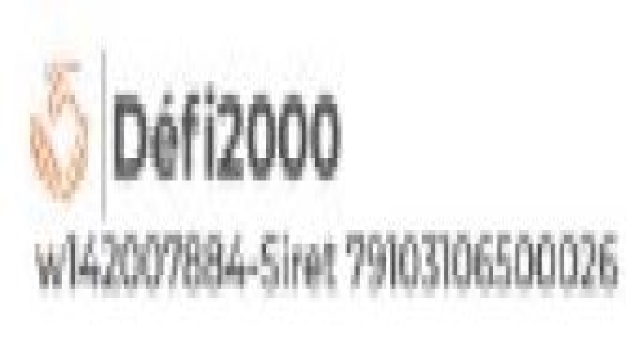 DEFI2000