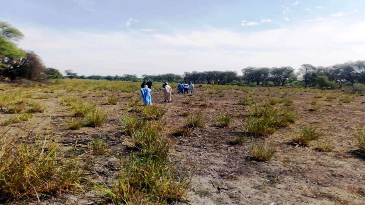 Projet d’aménagement et exploitation d'un périmètre de 50 ha